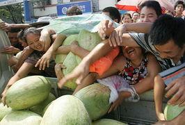 请东港市民免费吃瓜,市民免费畅享清凉瓜果盛宴